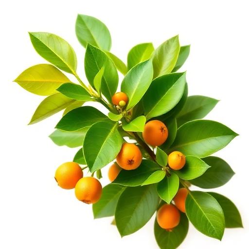 Citrus