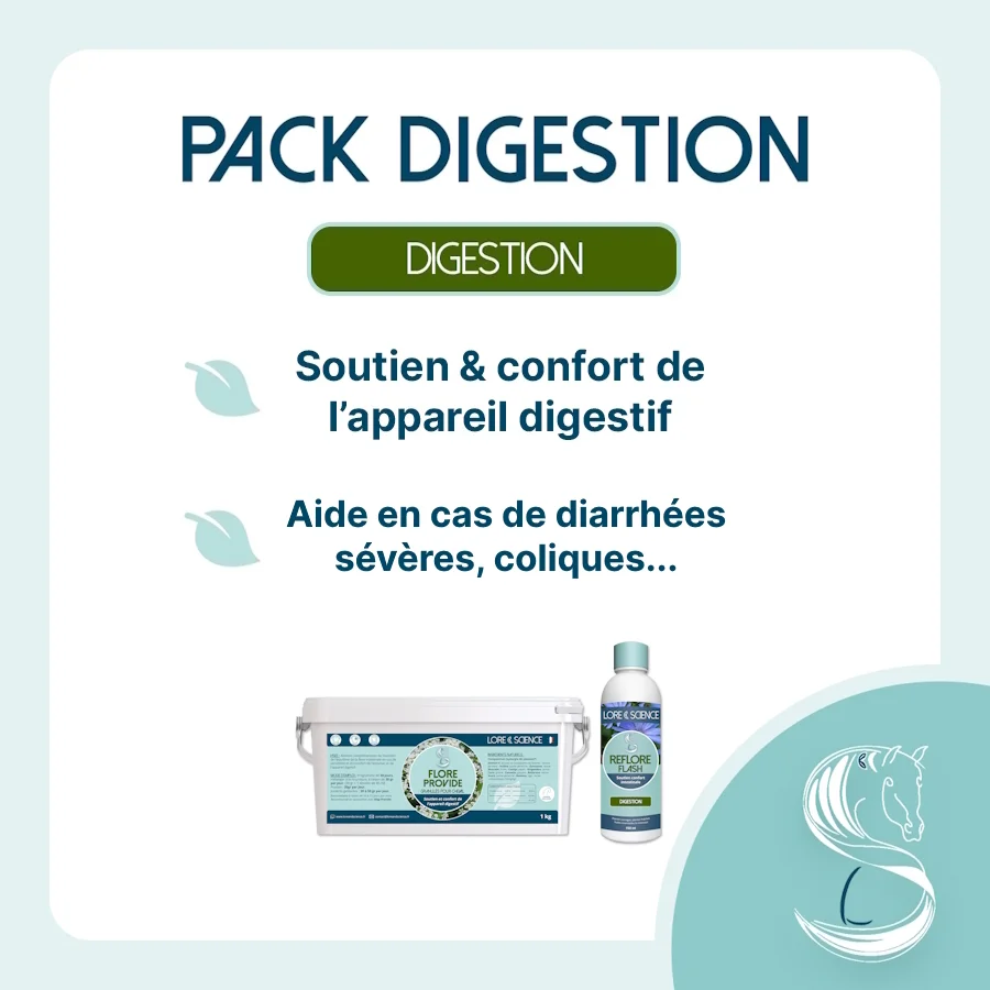 Bienfaits du Pack Digestion pour la flore intestinale du cheval
