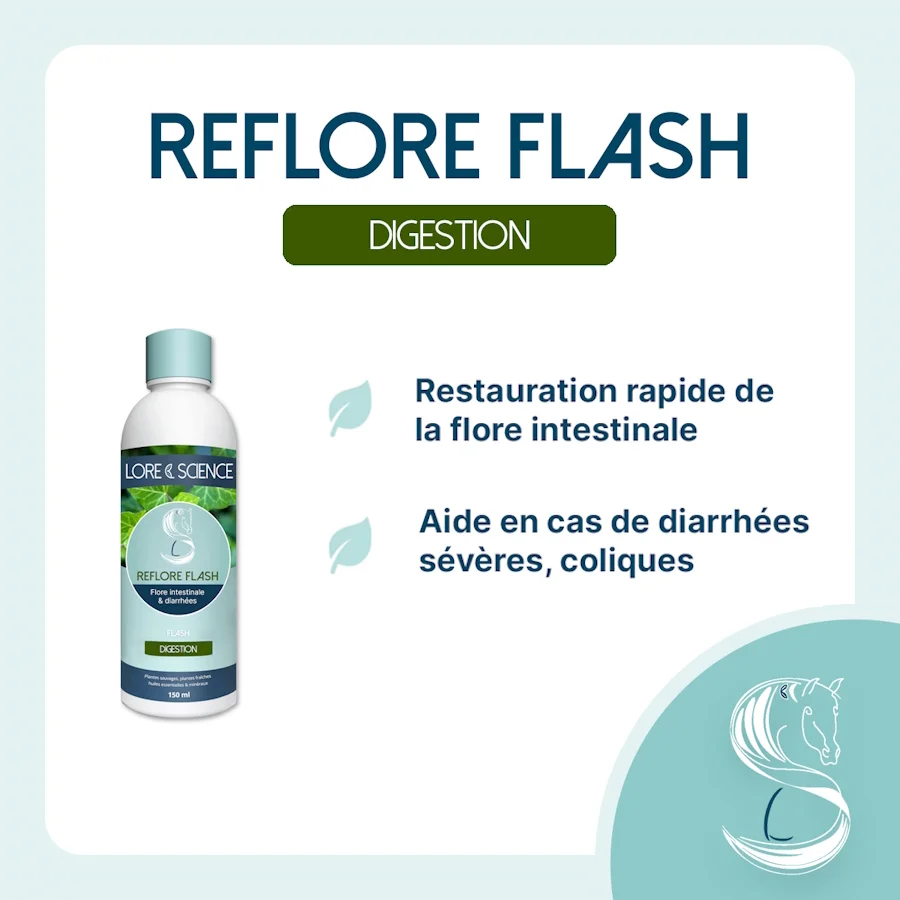 Bienfaits du Reflore Flash pour la flore intestinale du cheval