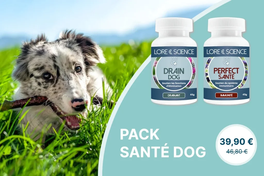 Pack Santé Dog