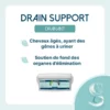 Bienfaits du Drain Support pour la détoxification du cheval