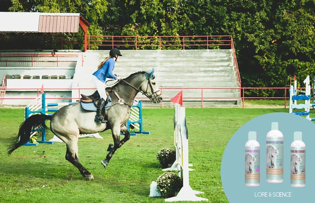 acide lactique cheval