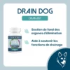 Visée du complément Drain Dog
