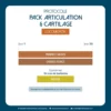 Protocole Pack Articulation & Cartilage pour chiens