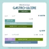 Bienfaits du Protocole Gastro Ulcère aide contexte d'ulcères du cheval