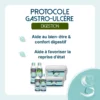 Protocole Gastro-Ulcère pour cheval