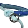 Laisse et collier réglable pour chien Lore & Science
