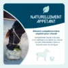 Aliment complémentaire naturellement appétant pour chevaux