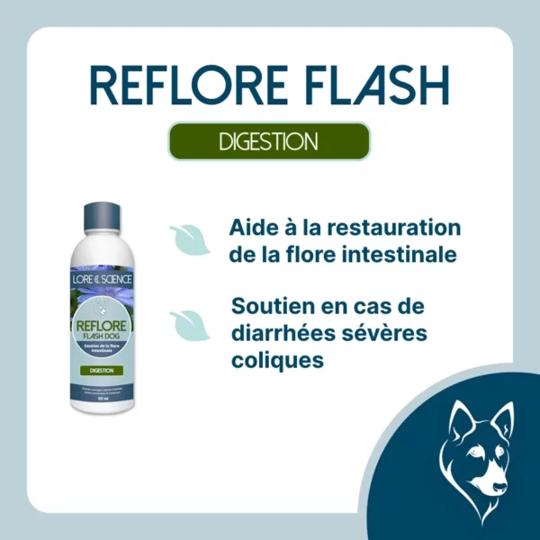 Visée du complément Reflore Flash Dog 72972