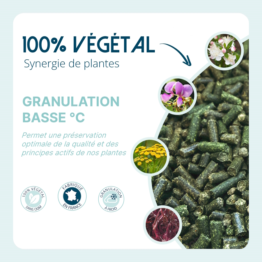 Complément granulé basse température cheval