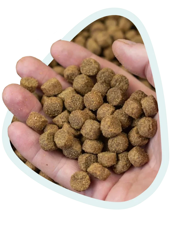 Plant quality and 100% natural formulation