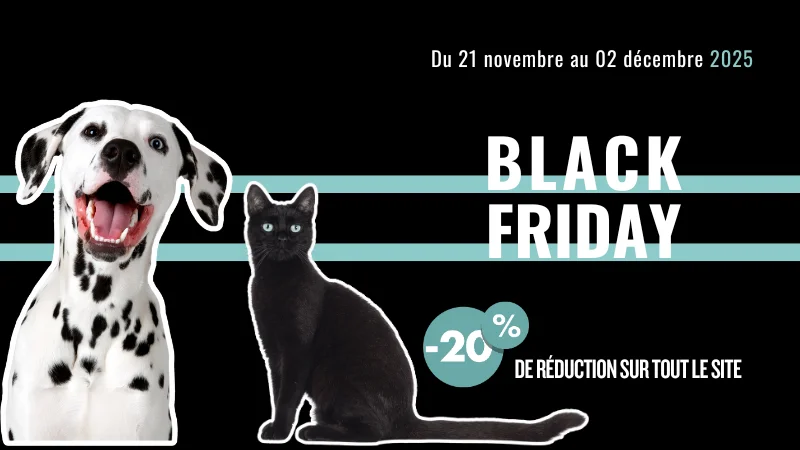 BLACK FRIDAY -20% du 21/11 au 02/12